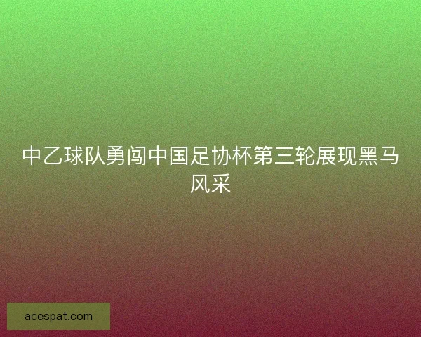中乙球队勇闯中国足协杯第三轮展现黑马风采